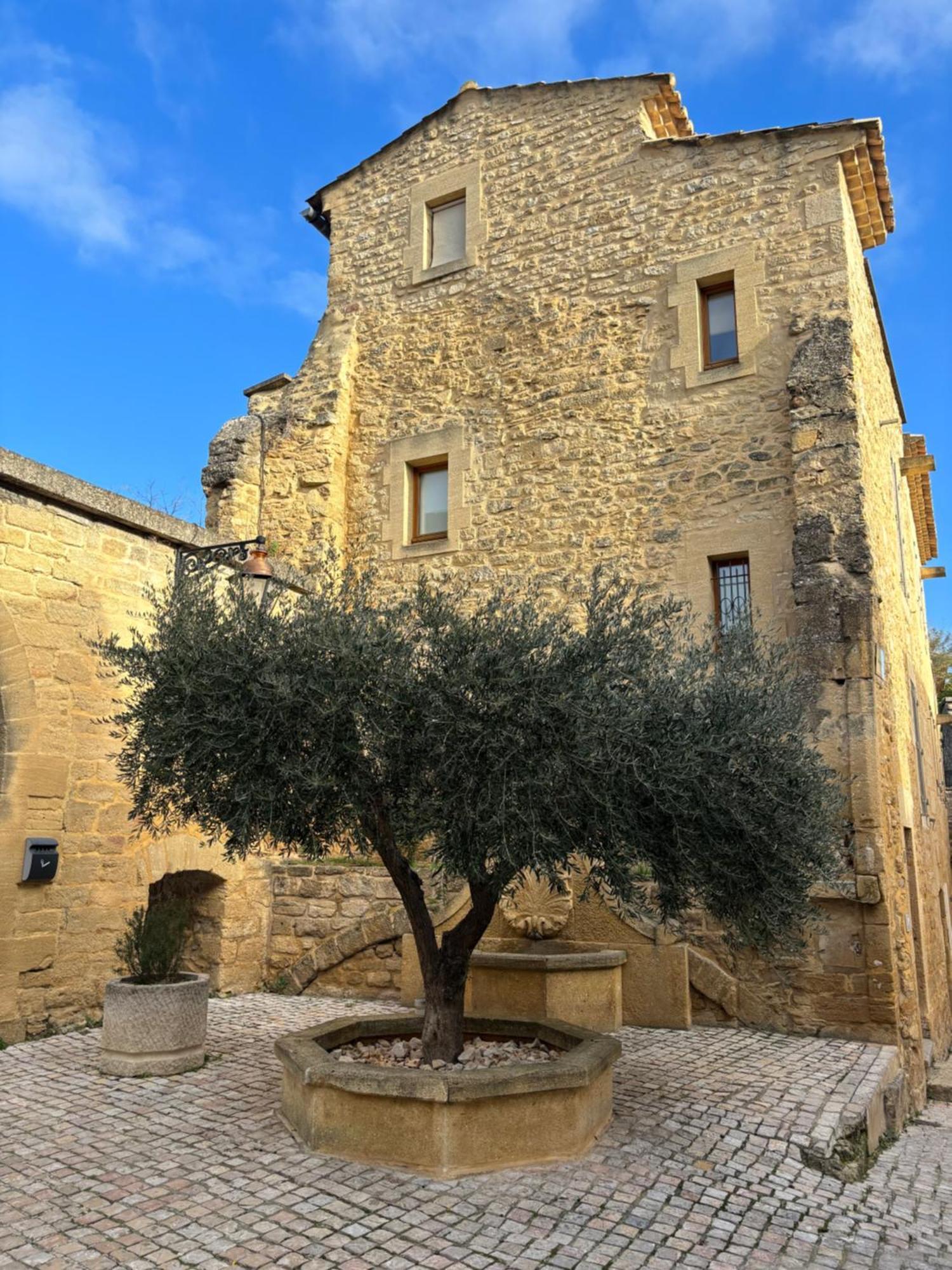 Le Vieux Fournil Villa Castillon-du-Gard Exterior photo